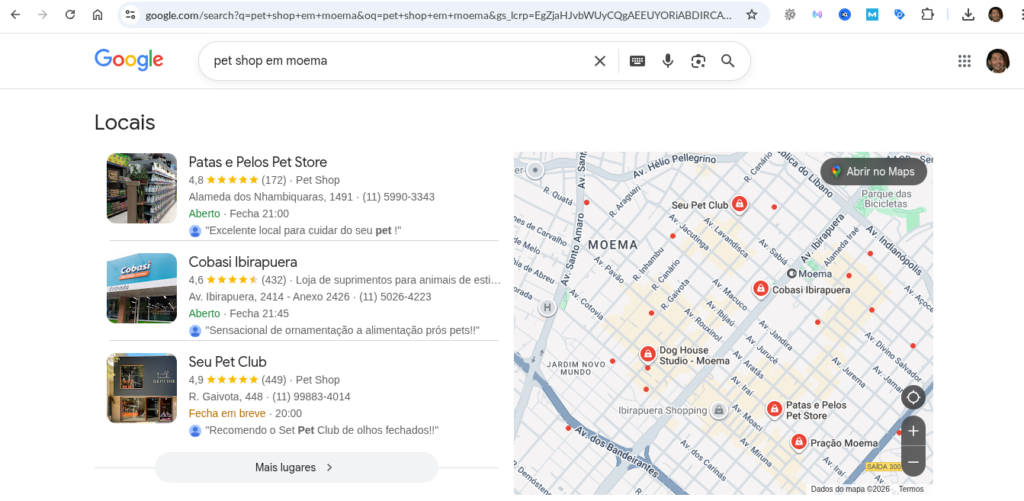seo para negócio local google business profile